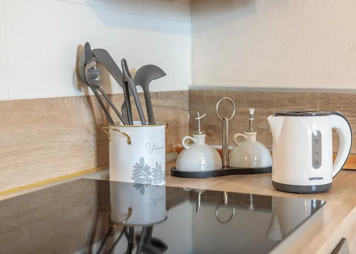 Mansarda Ruitor In Centro Storico * Aosta